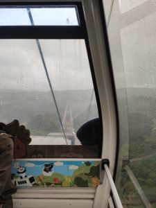 猫空ロープウェイからの眺め