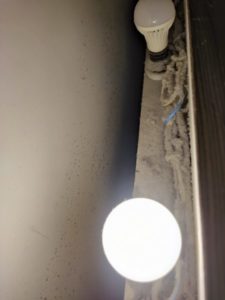 電球の周りがほこりで腐海状態になっている